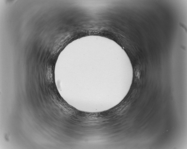 X0000103501252200810101038