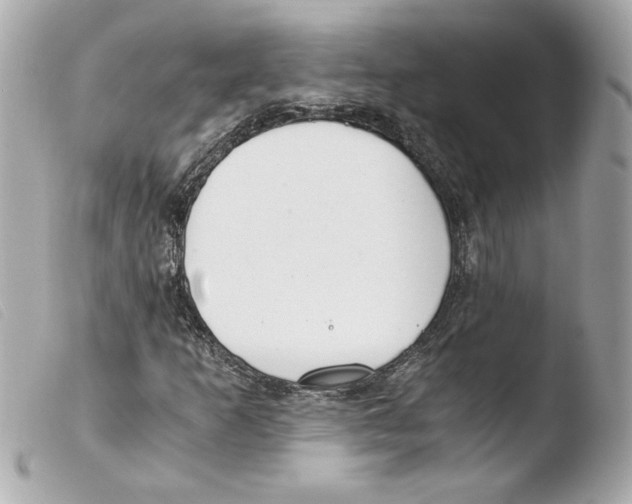 X0000103501253200810101038