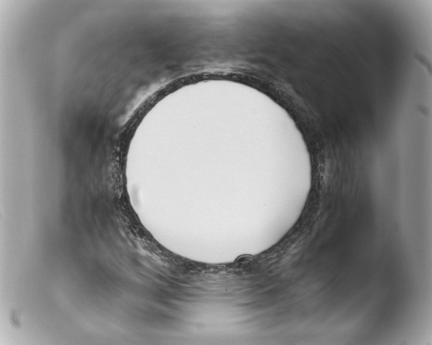 X0000103501256200810101038