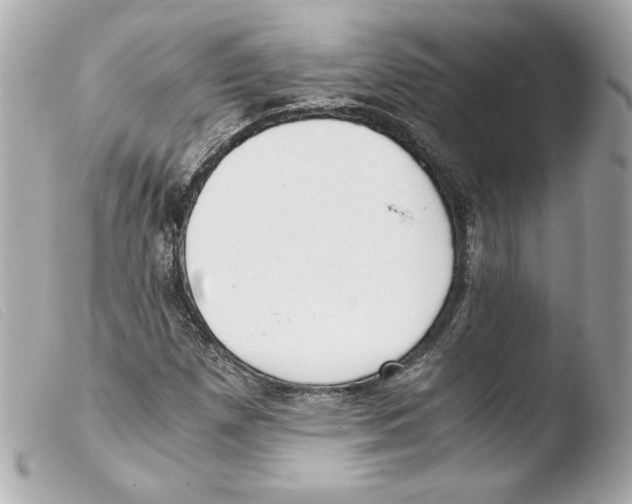 X0000103501257200810101038