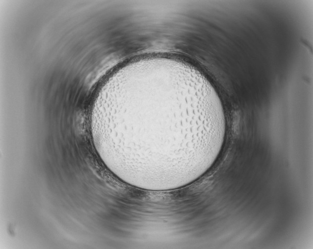 X0000103501258200810101038