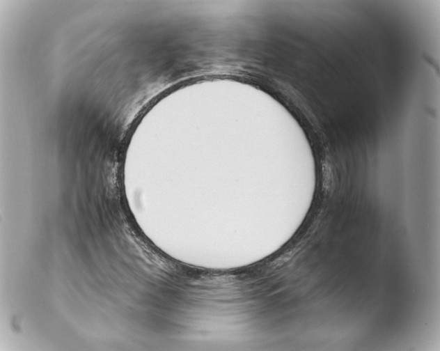 X0000103501260200810101038