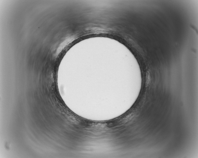 X0000103501261200810101038