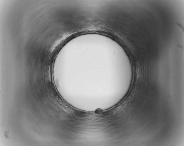 X0000103501262200810101038