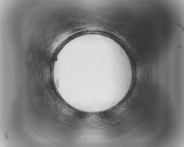 X0000103501263200810101038