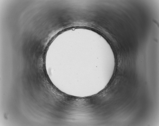 X0000103501264200810101038