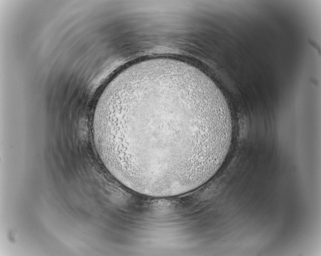 X0000103501266200810101038