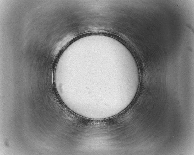 X0000103501269200810101038