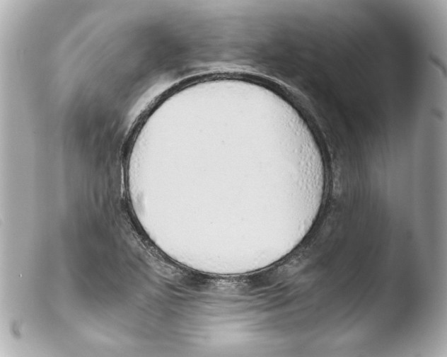 X0000103501271200810101038