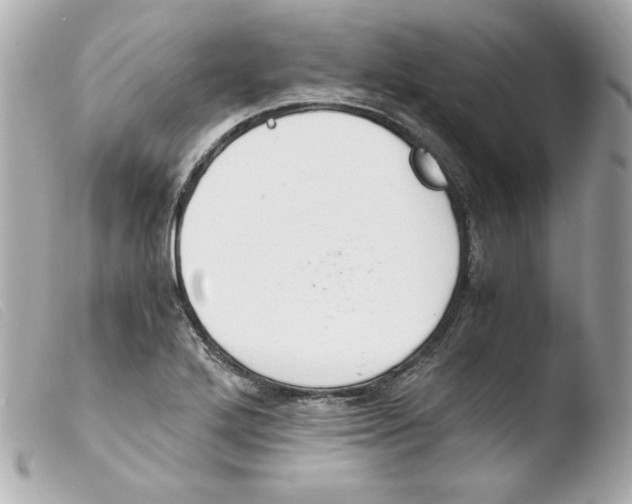 X0000103501272200810101038