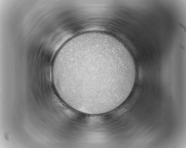 X0000103501274200810101038