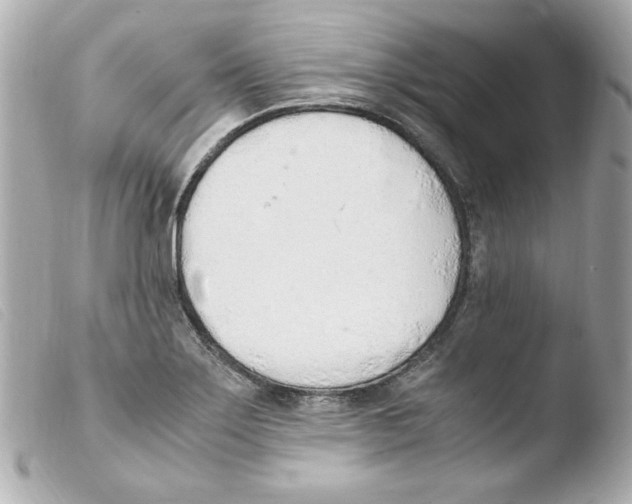 X0000103501275200810101038