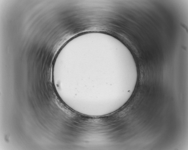 X0000103501276200810101038