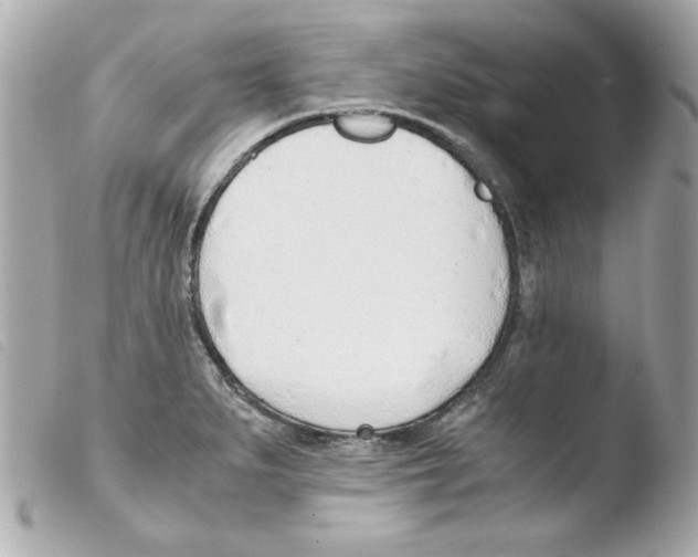 X0000103501279200810101038