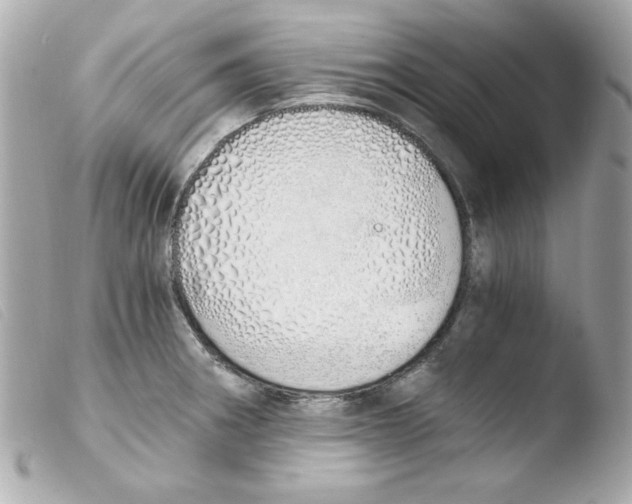 X0000103501282200810101038