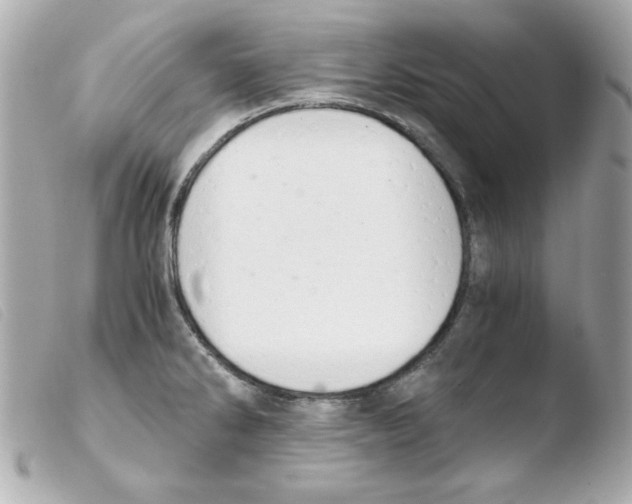 X0000103501286200810101038