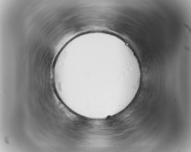 X0000103501287200810101038