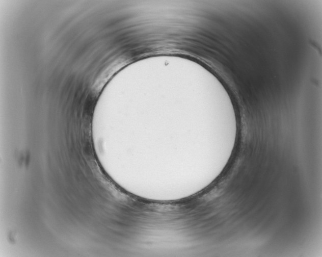 X0000103501289200810101038