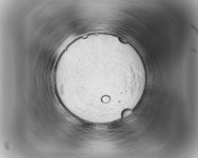 X0000103501291200810101038