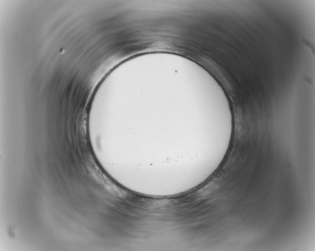 X0000103501292200810101038