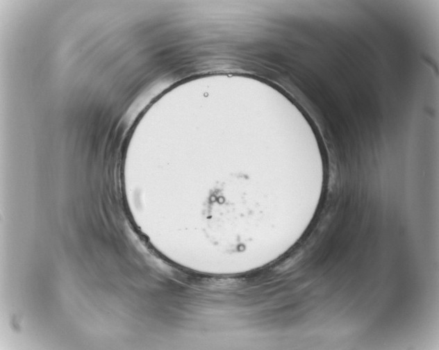 X0000103501293200810101038