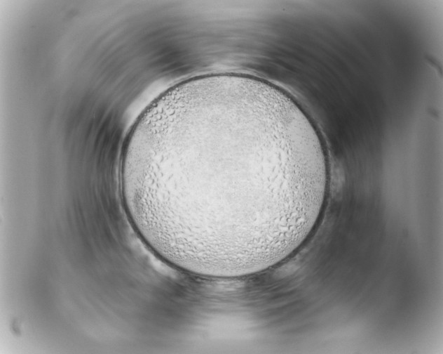 X0000103501294200810101038