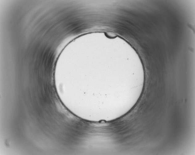 X0000103501296200810101038