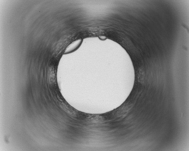 X0000103501298200810101037