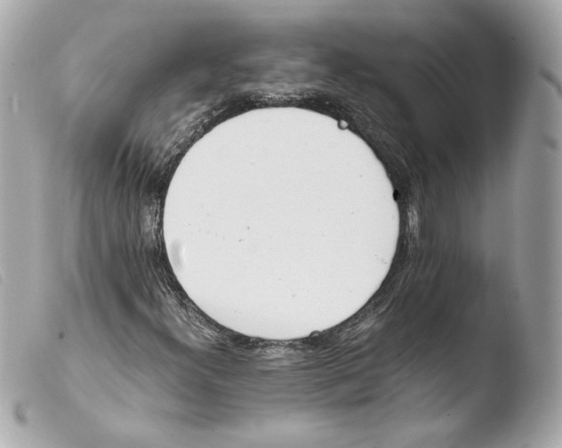 X0000103501300200810101037