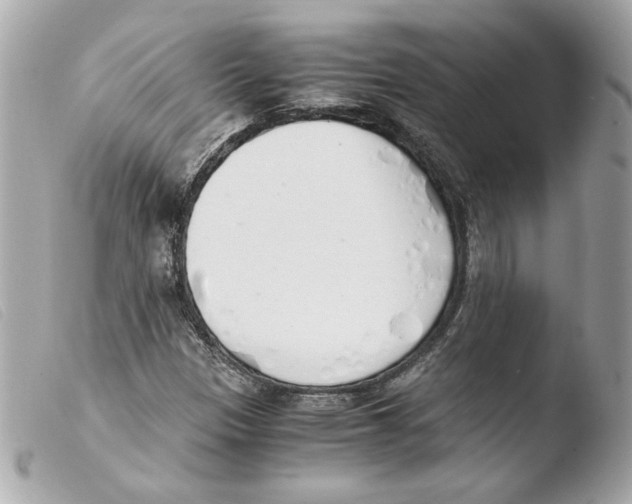 X0000103501305200810101037