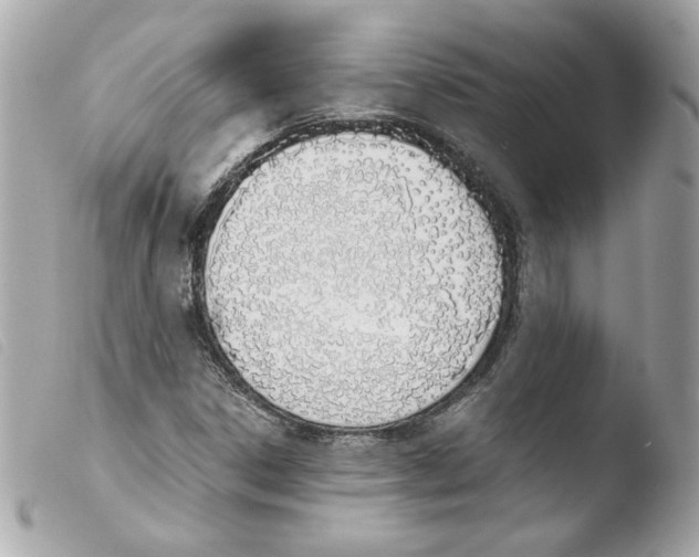 X0000103501306200810101037