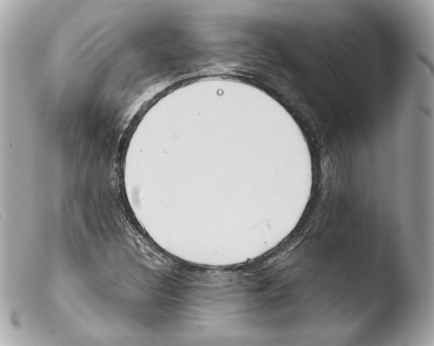 X0000103501308200810101037