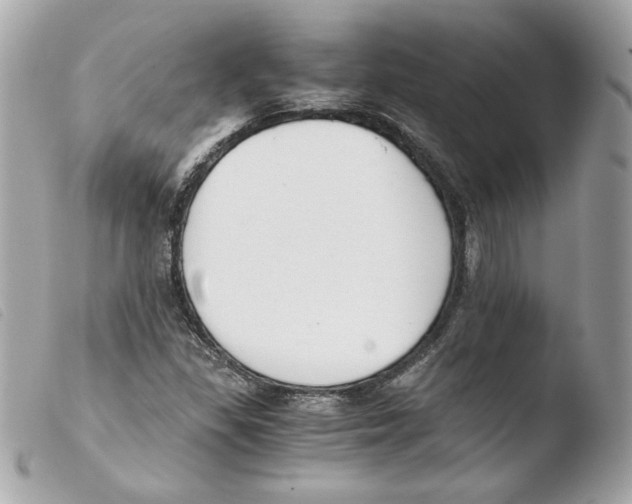 X0000103501309200810101037