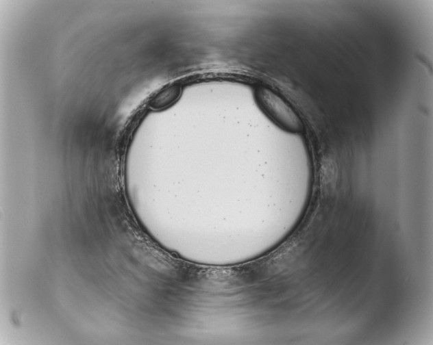 X0000103501310200810101037