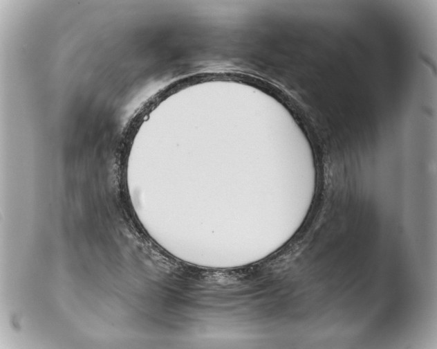 X0000103501311200810101037