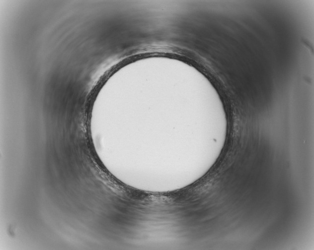 X0000103501312200810101037