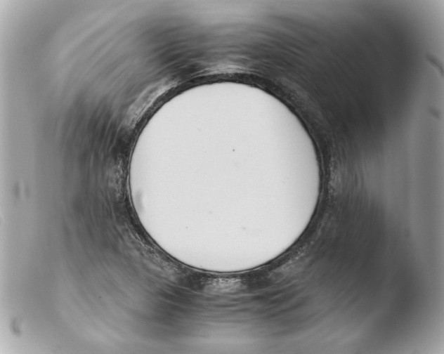 X0000103501313200810101037