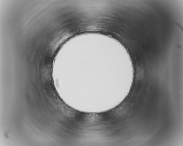 X0000103501314200810101037