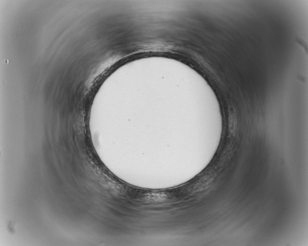 X0000103501315200810101037