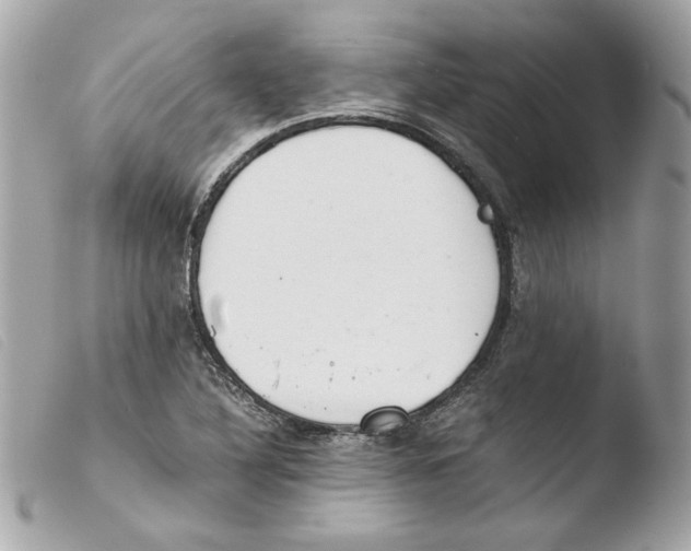 X0000103501316200810101037