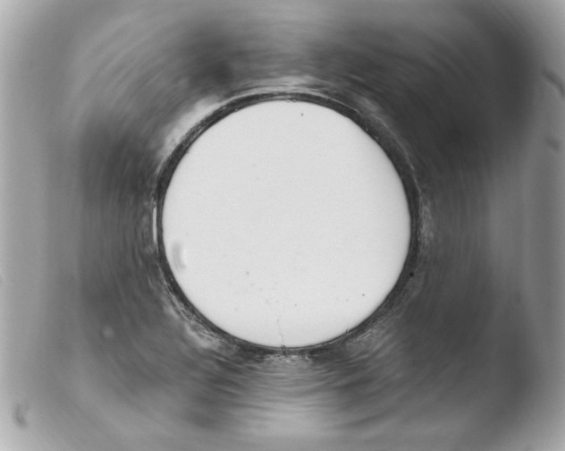 X0000103501320200810101037