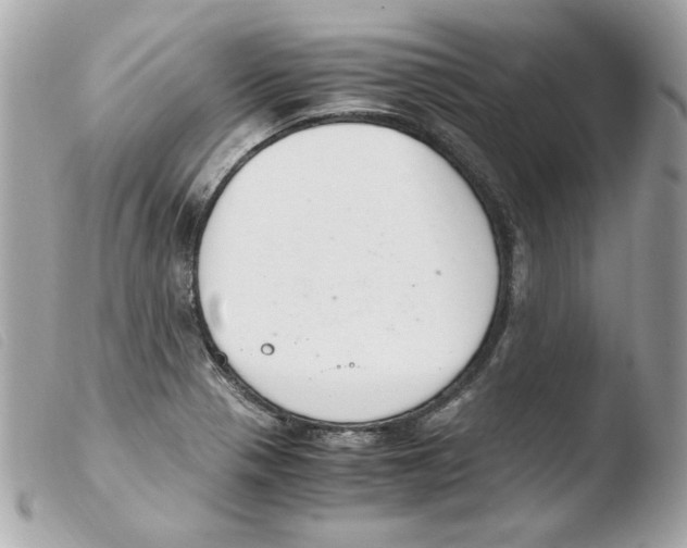 X0000103501321200810101037