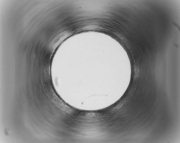 X0000103501322200810101037