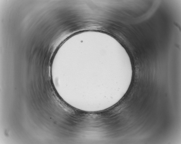 X0000103501324200810101037