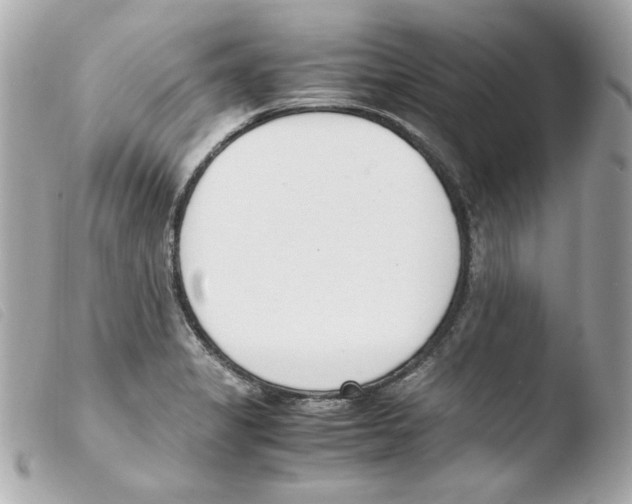 X0000103501325200810101037