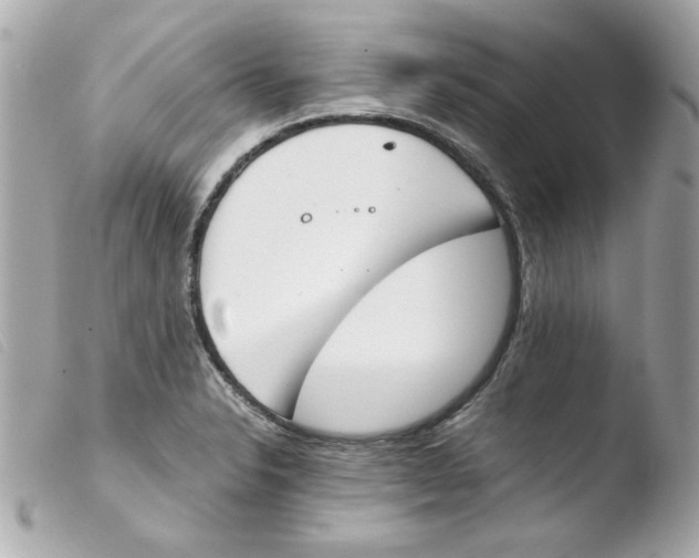 X0000103501326200810101037