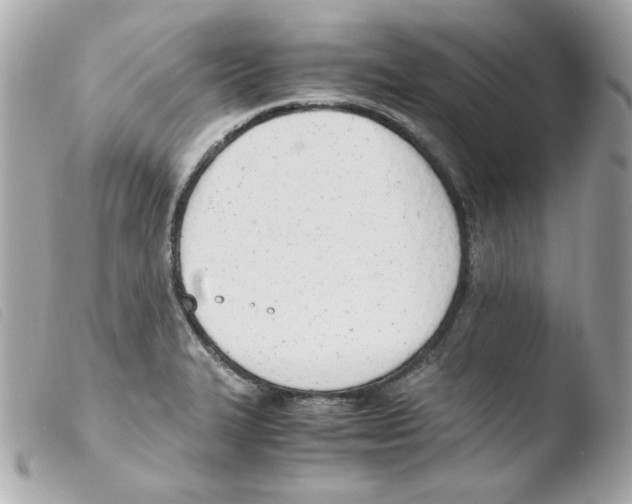 X0000103501327200810101037