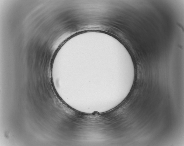 X0000103501328200810101037