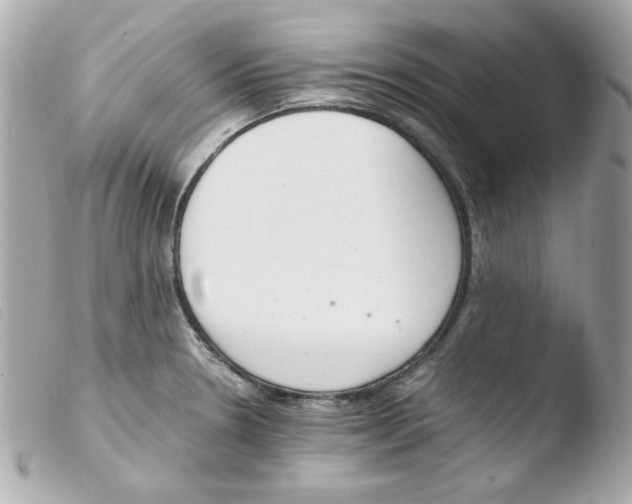 X0000103501330200810101037