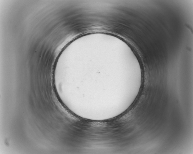 X0000103501333200810101037